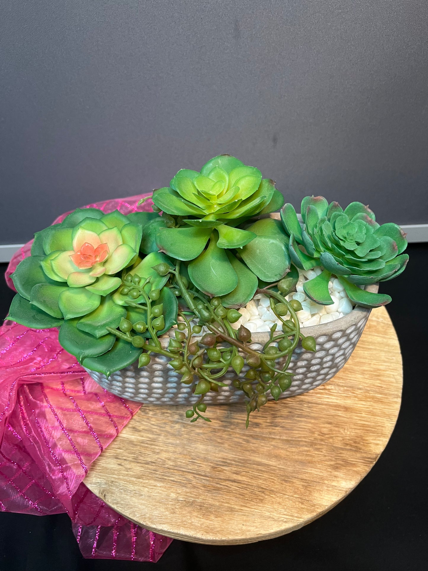 Succulents have in container