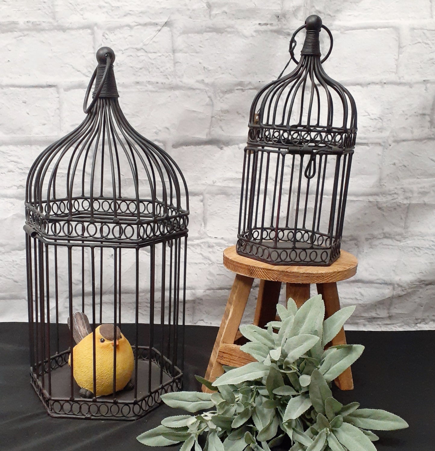 Bird cage