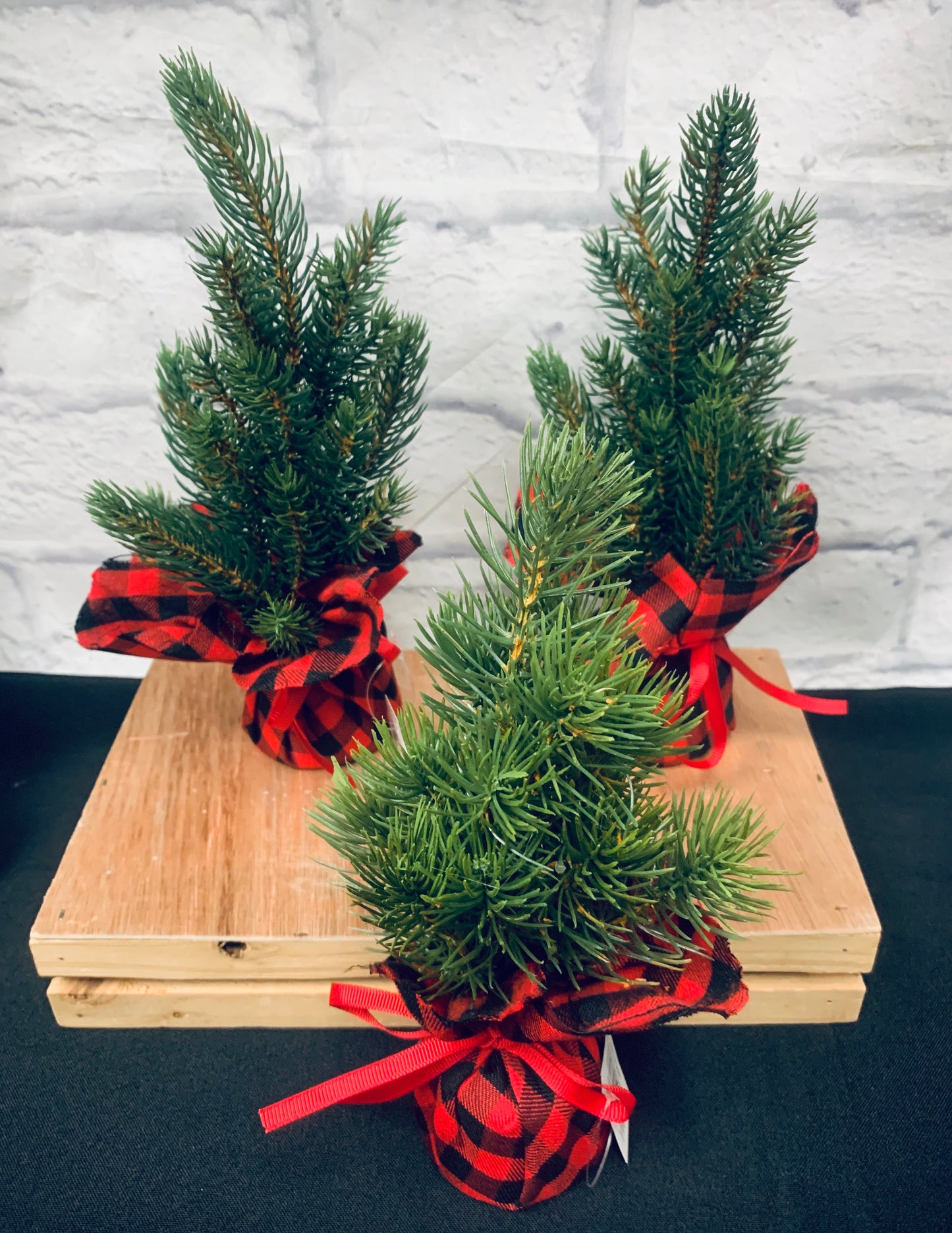 Plaid Trees