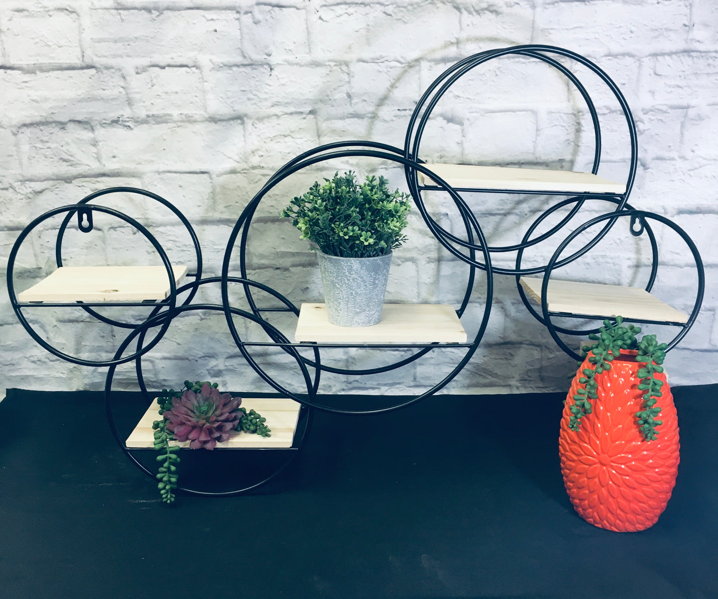 5 Circle Shelf