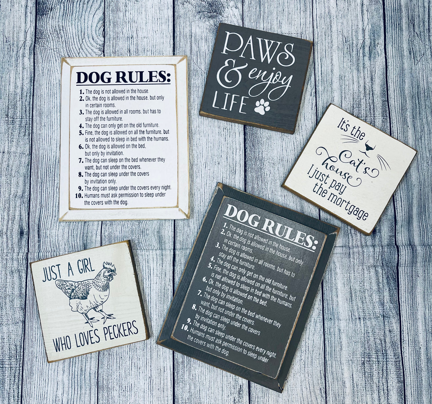 Animal Signs