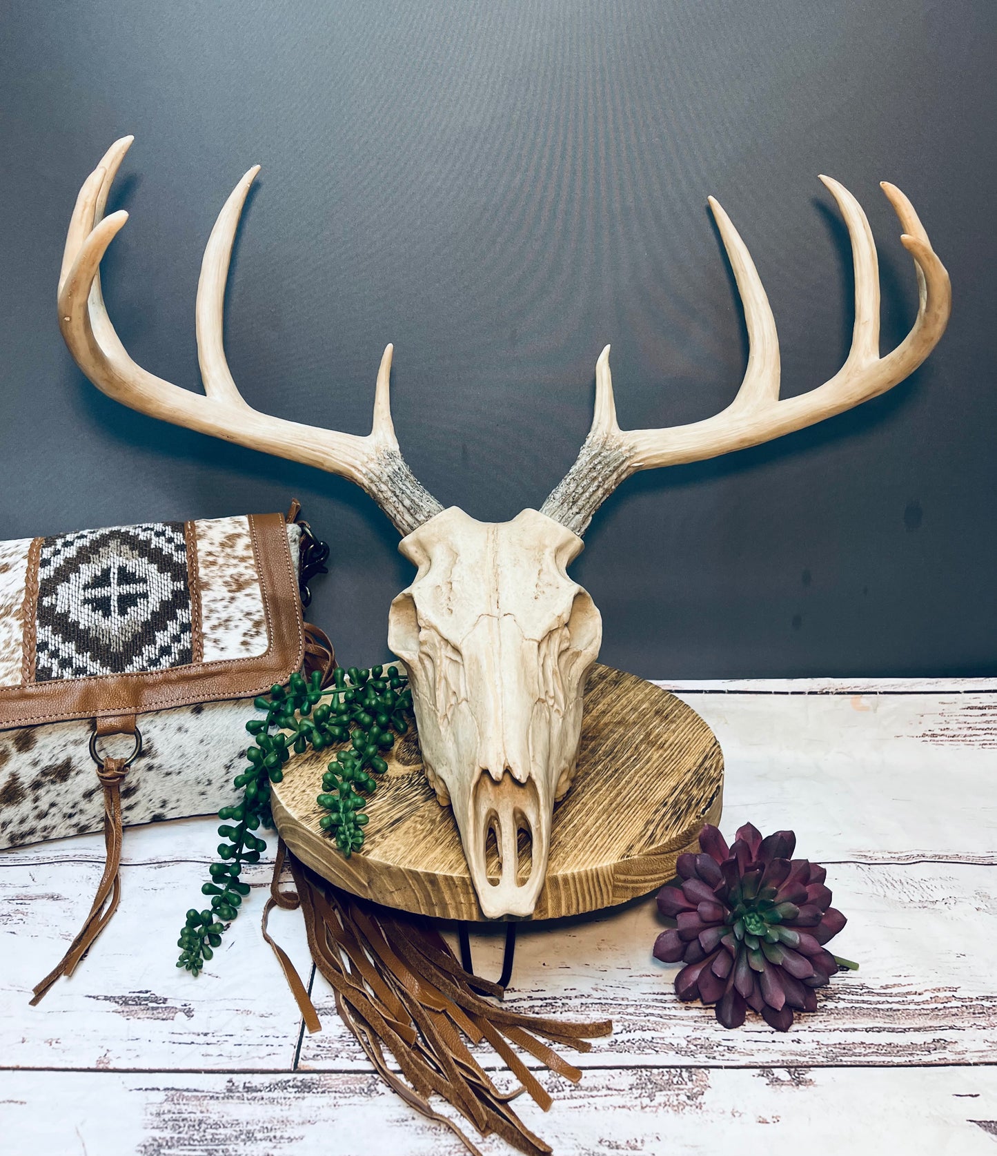 8 point buck skull wall hanger