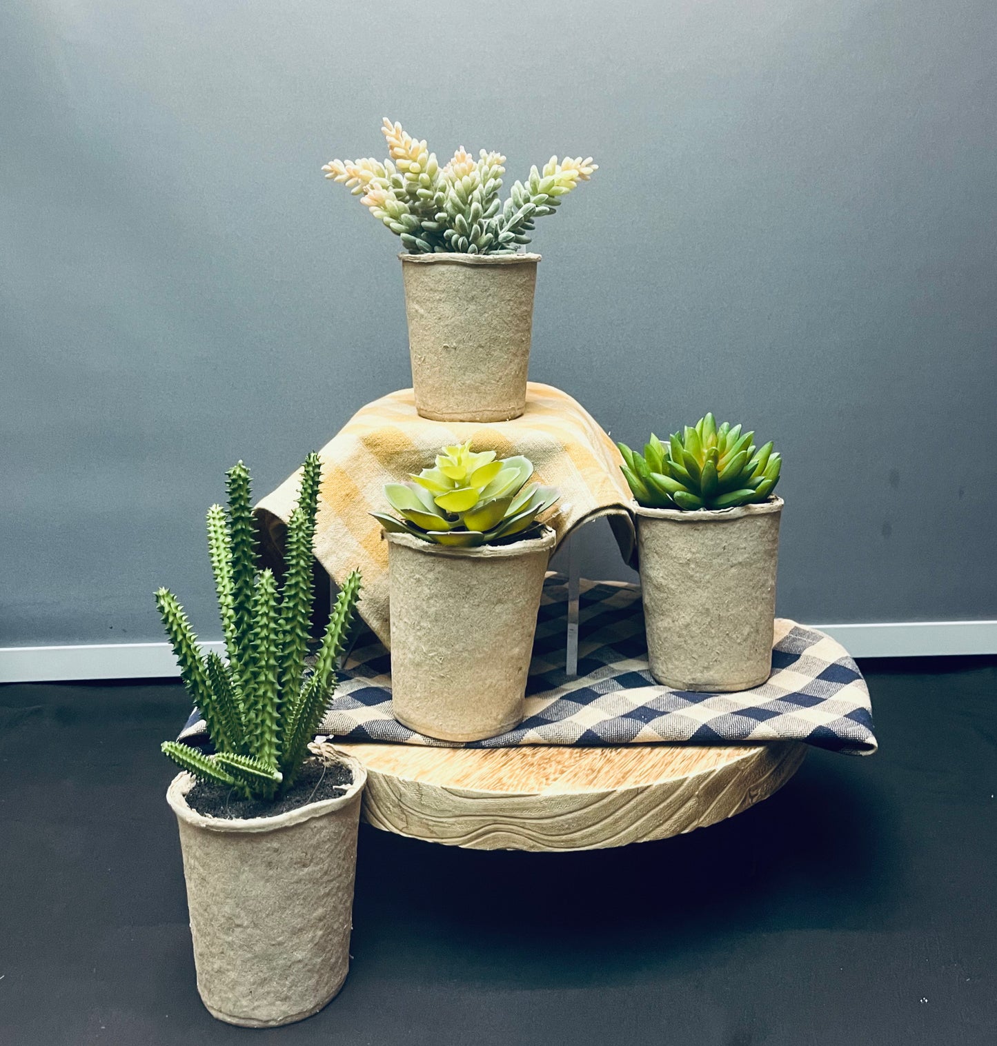 Pea pot artificial succulents