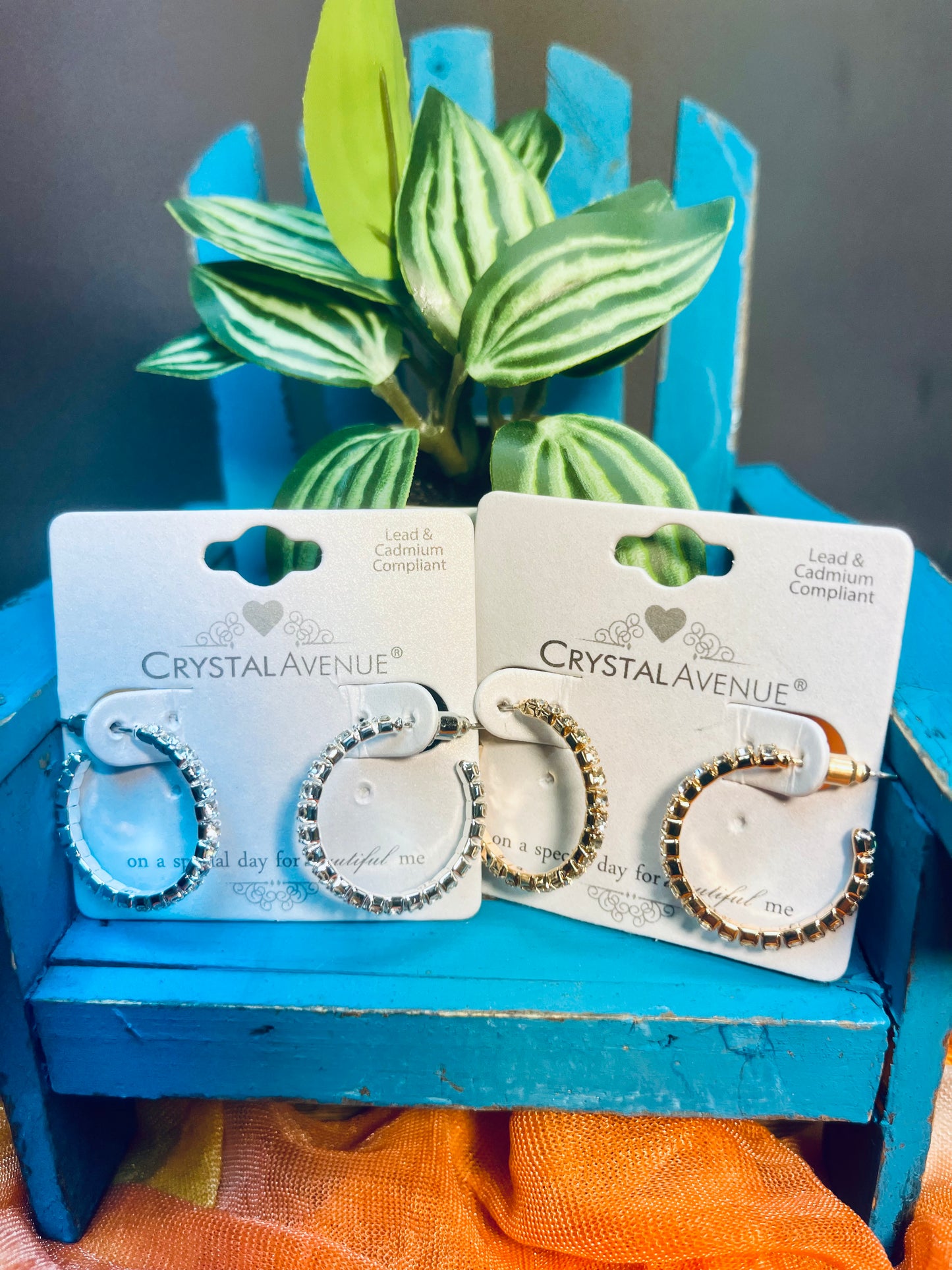 Crystal hoop earrings