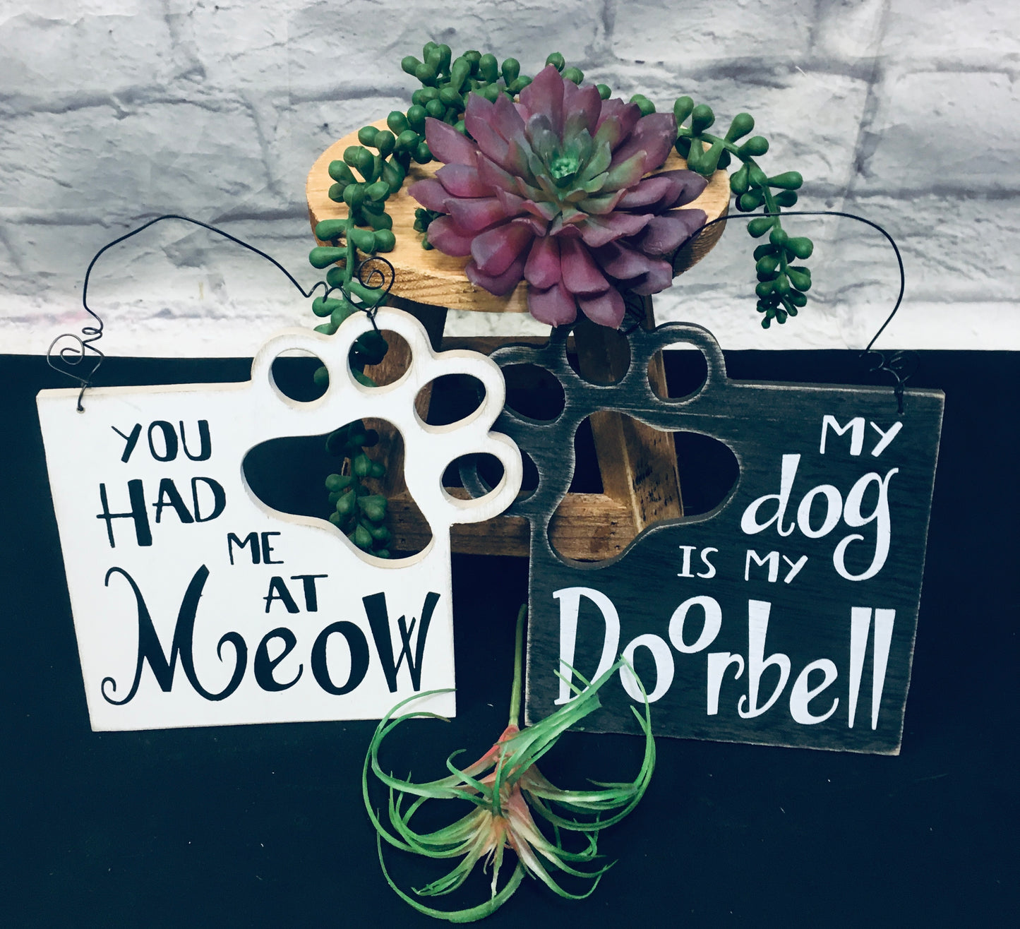 Cat & Dog Paw Signs