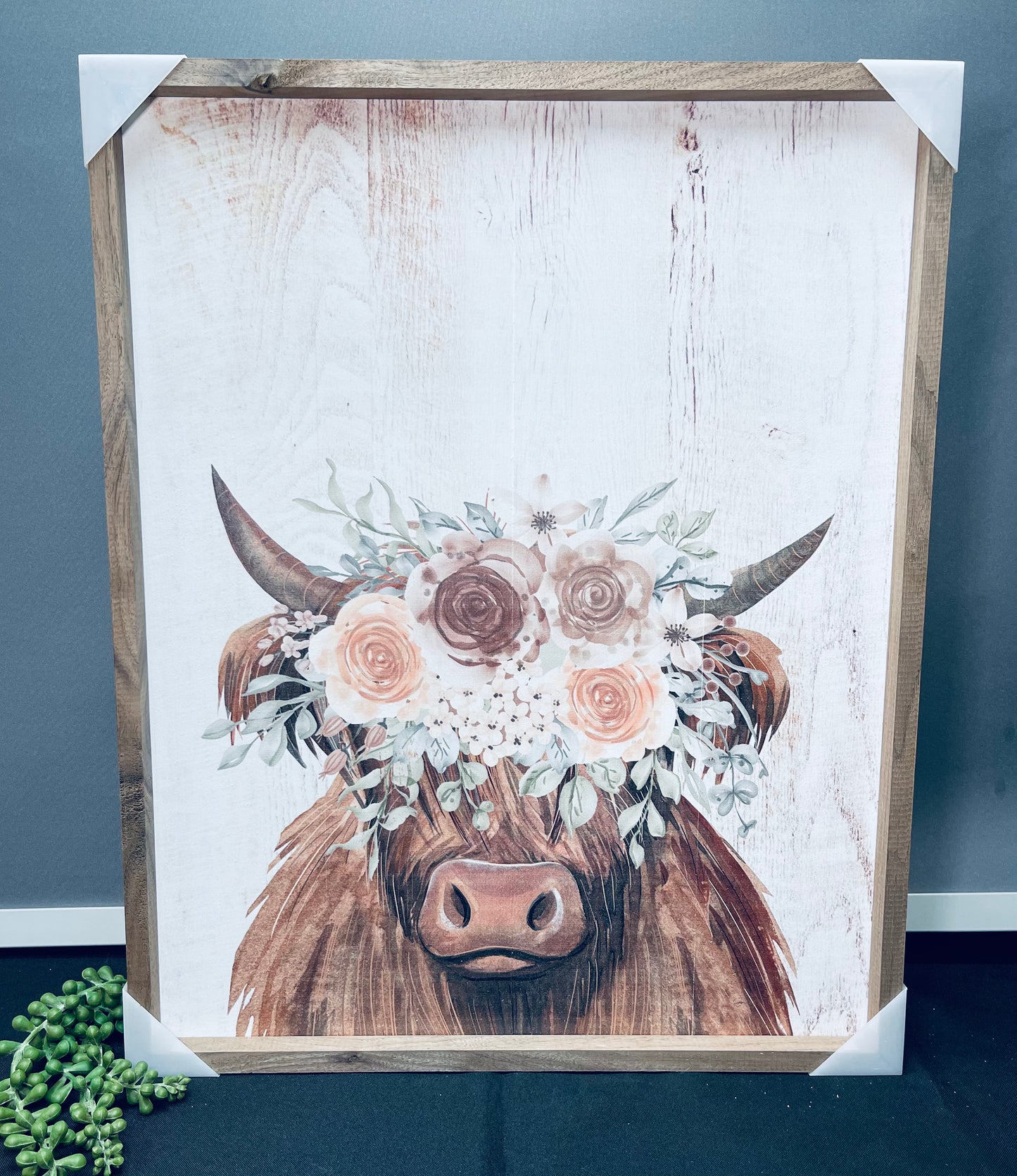 Highlander Cow Print