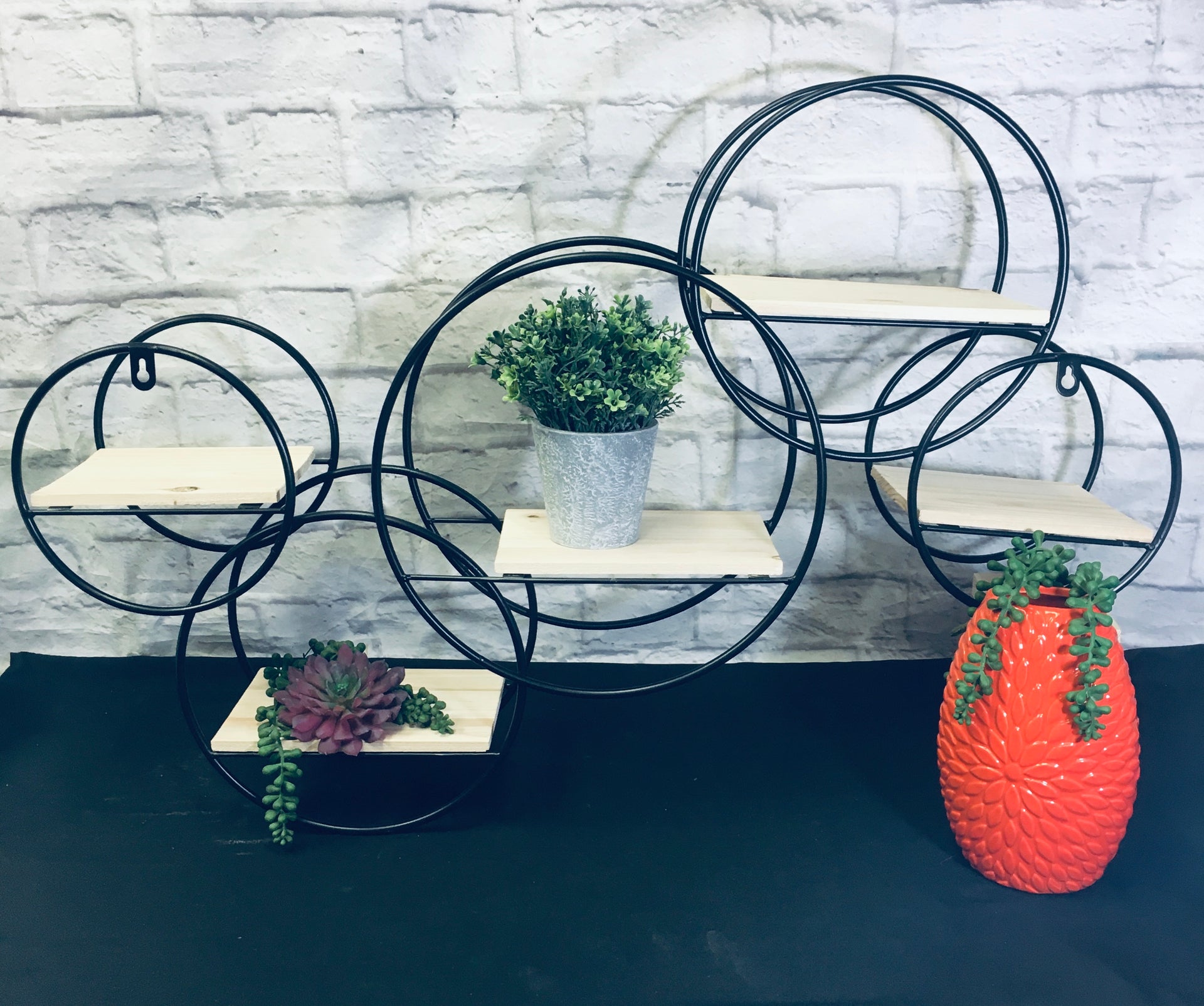 5 Circle Shelf